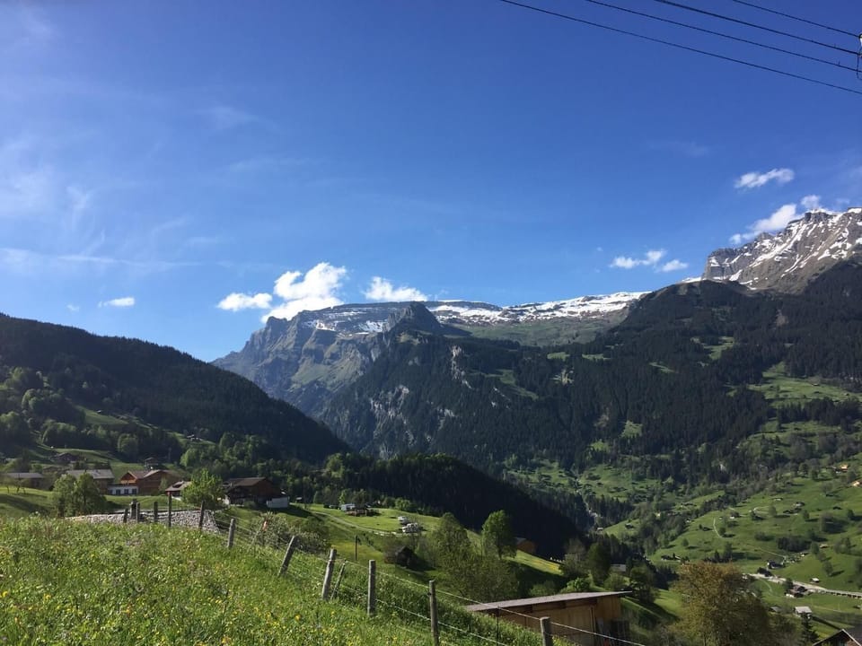 Picture 30