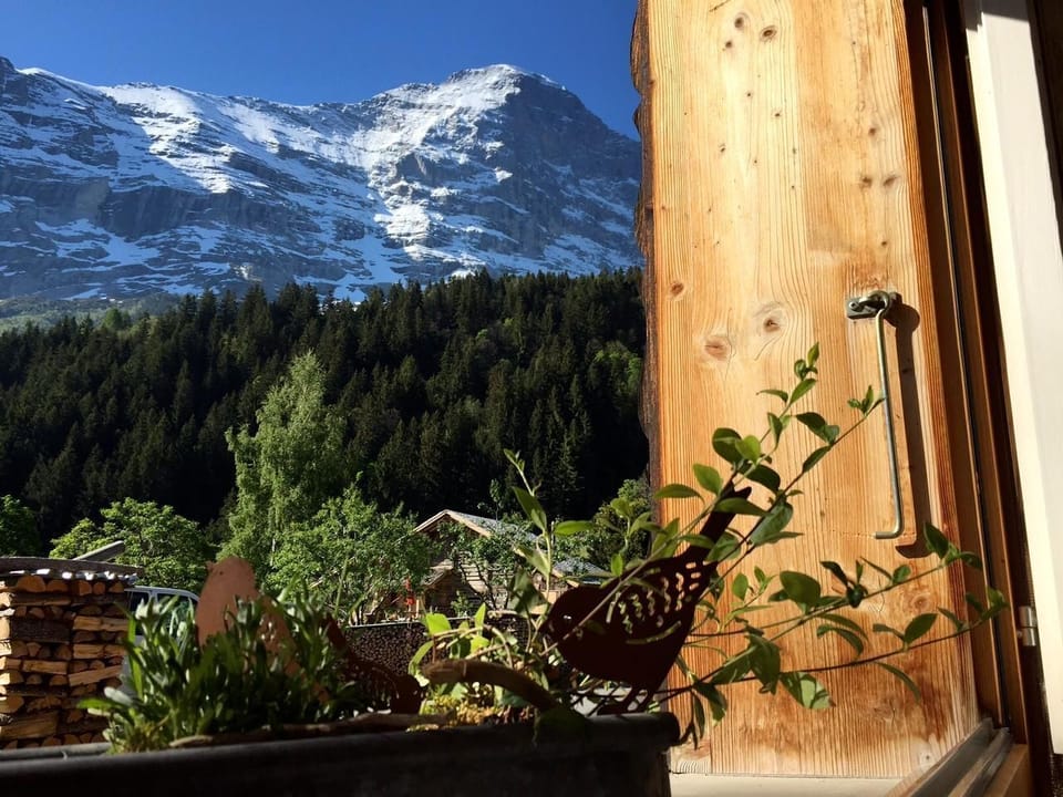 view from bedroom