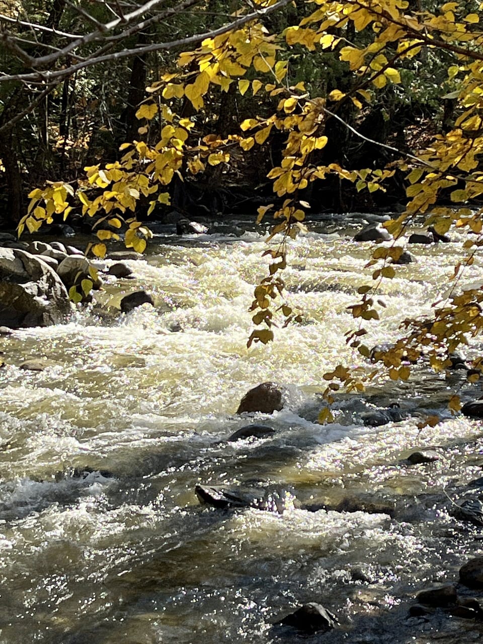 Brackett Brook as seen from our parking lot