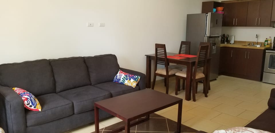 Queen-size pull out sofa