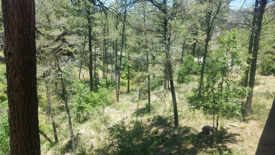 Wooded View off Deck