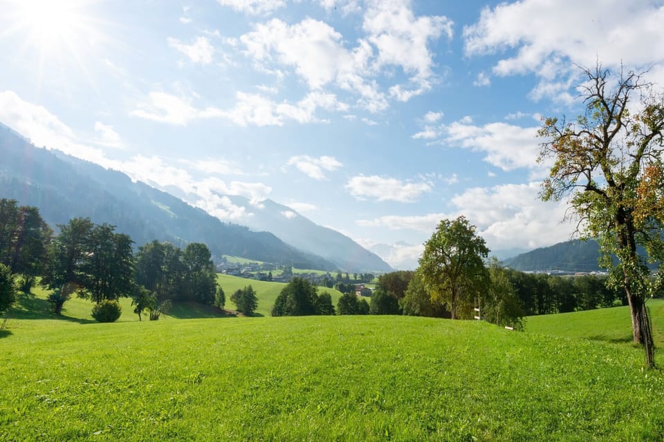 Surroundings [summer] (1-5 km)