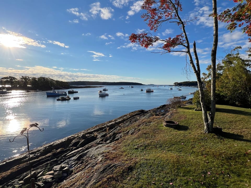 The view at Harbor's Edge!