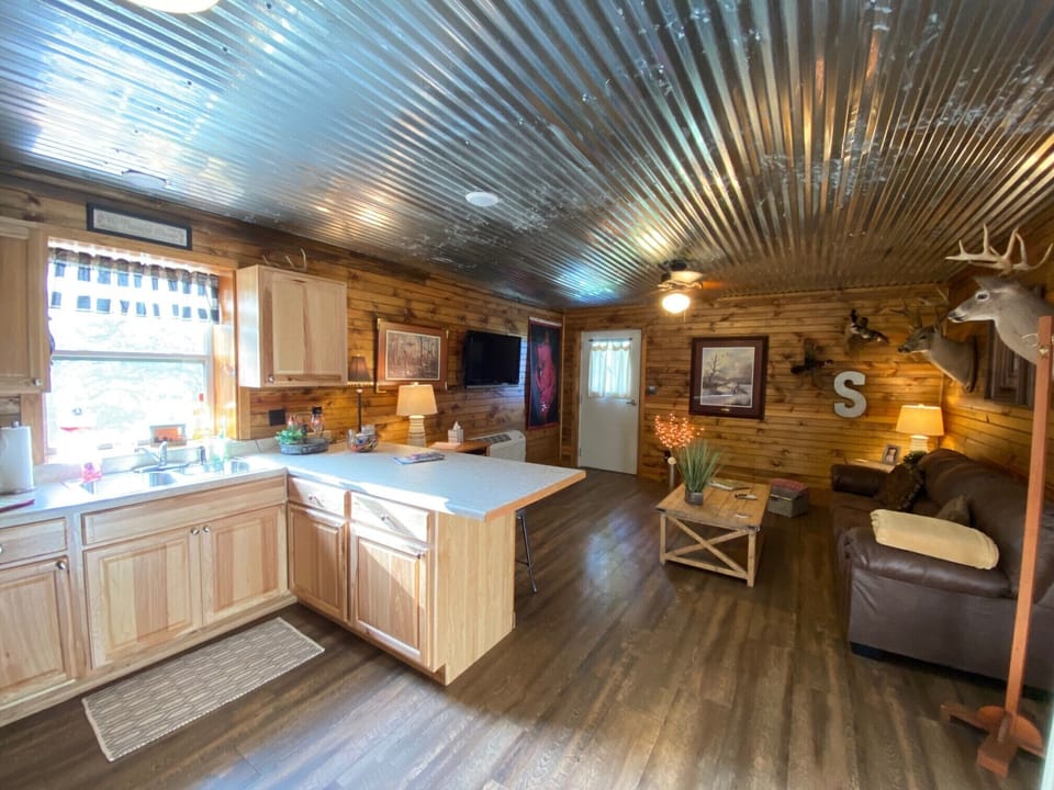 Kitchen & Living Room area