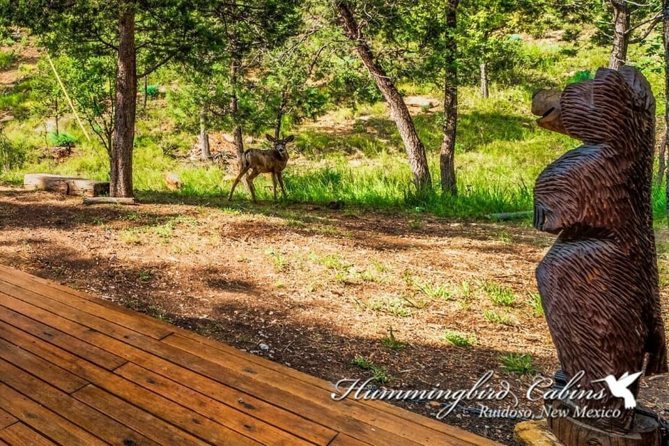 Wildlife love to visit!