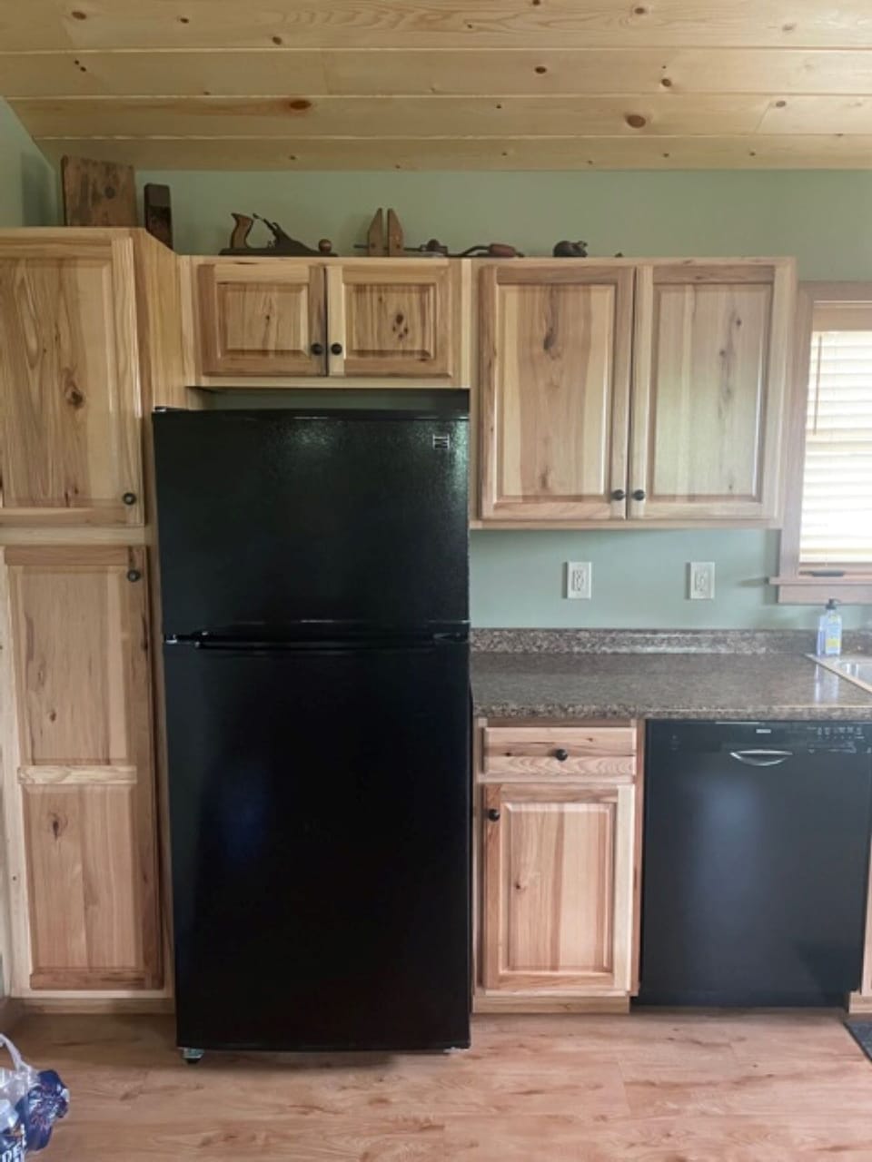 Fridge, cabinets, and dishwasher