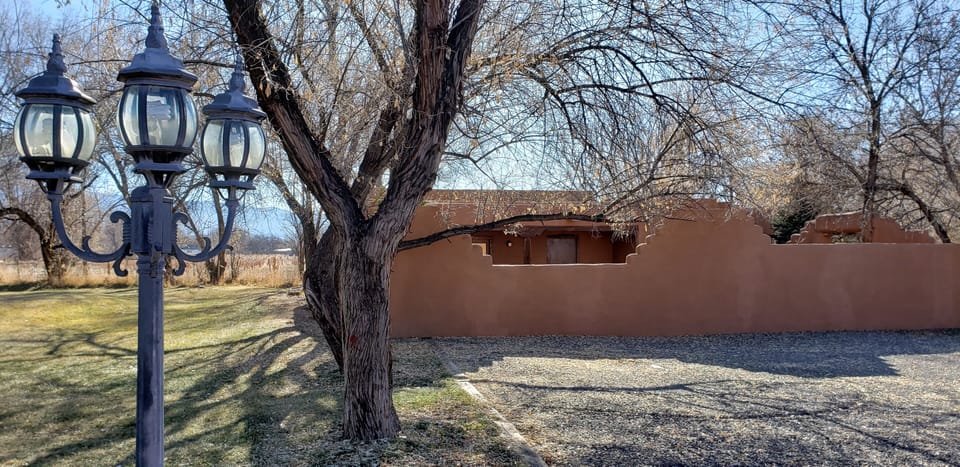 View of front patio (privacy wall) & vineyard to left-rear.