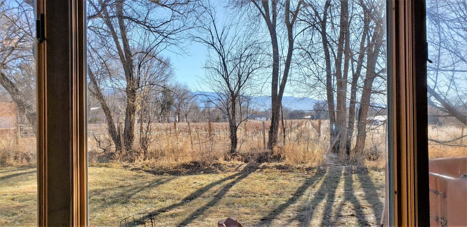 Vineyard view (winter) from Living Room.