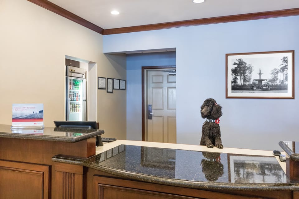 Quiet front desk with computers, monitors, and wall art.