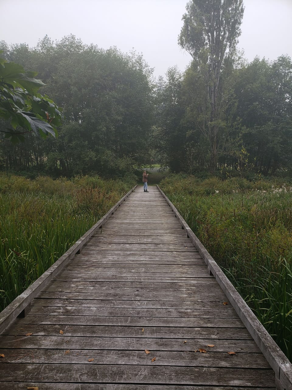 Foot bridge over the estuary as you walk through the trails to the ocean.