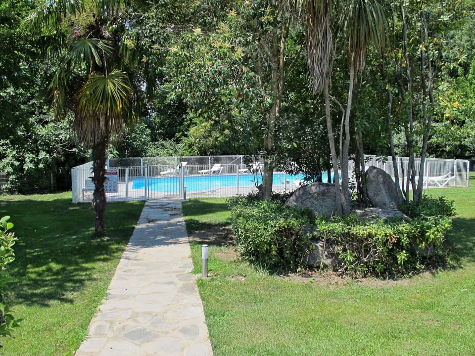 Property, Grass, Tree, Botany, Lawn, Real Estate, Park, Leisure, House, Architecture