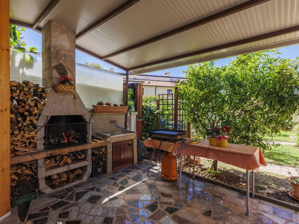 Plant, Wood, Shade, Flowerpot, Table, Outdoor Furniture, Leisure, Building, Houseplant, Landscape