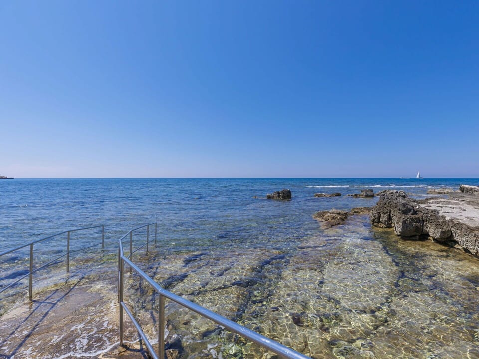 Water, Sky, Coastal And Oceanic Landforms, Wood, Horizon, Landscape, Wind Wave, Tree, Fence