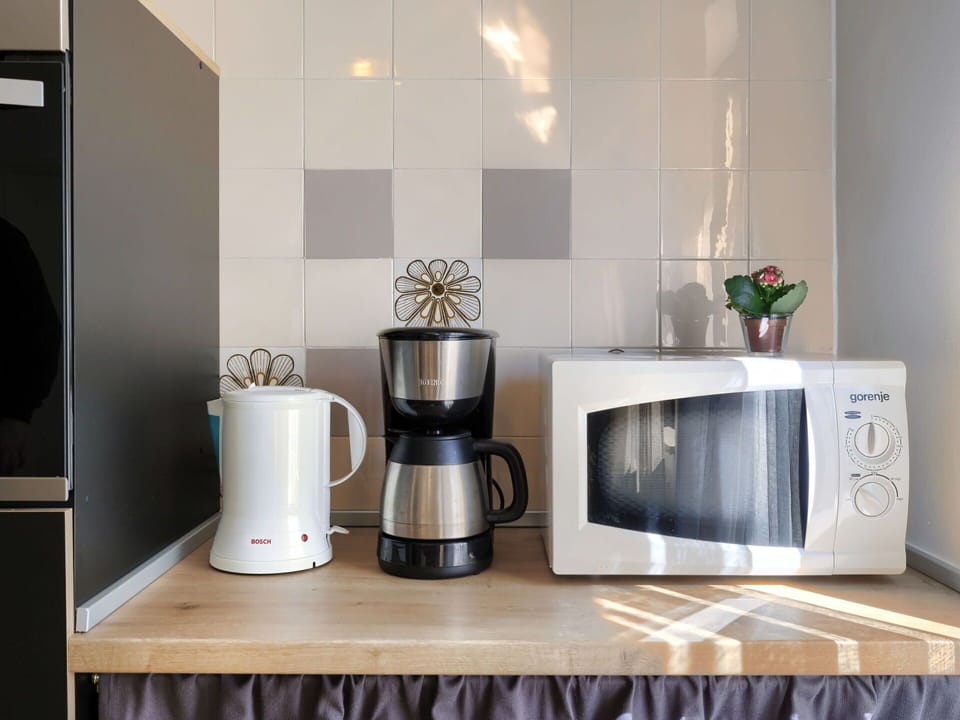 Property, Countertop, Product, Kitchen Appliance, Home Appliance, Kitchen, Interior Design, Houseplant, Plant, Tableware
