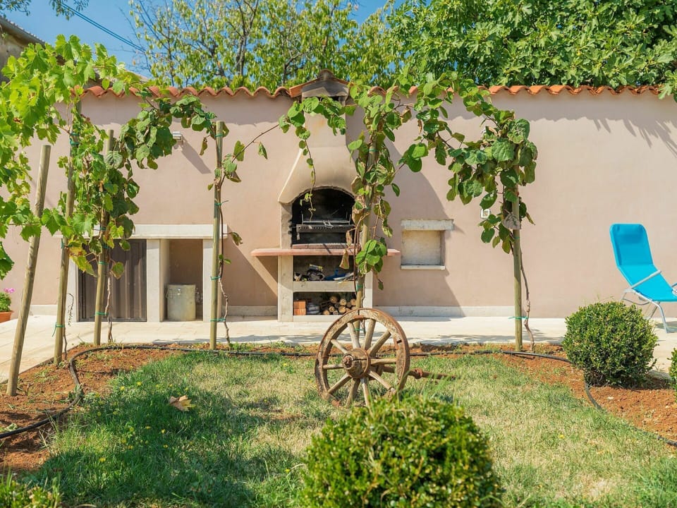 Plant, Property, Building, Shade, Wheel, Land Lot, Architecture, House, Wall, Grass