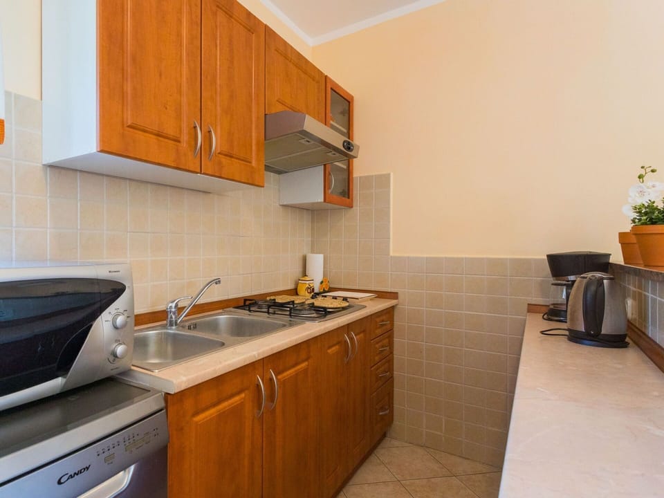 Cabinetry, Kitchen Sink, Property, Sink, Countertop, Tap, Plant, Building, Flowerpot, Kitchen Stove