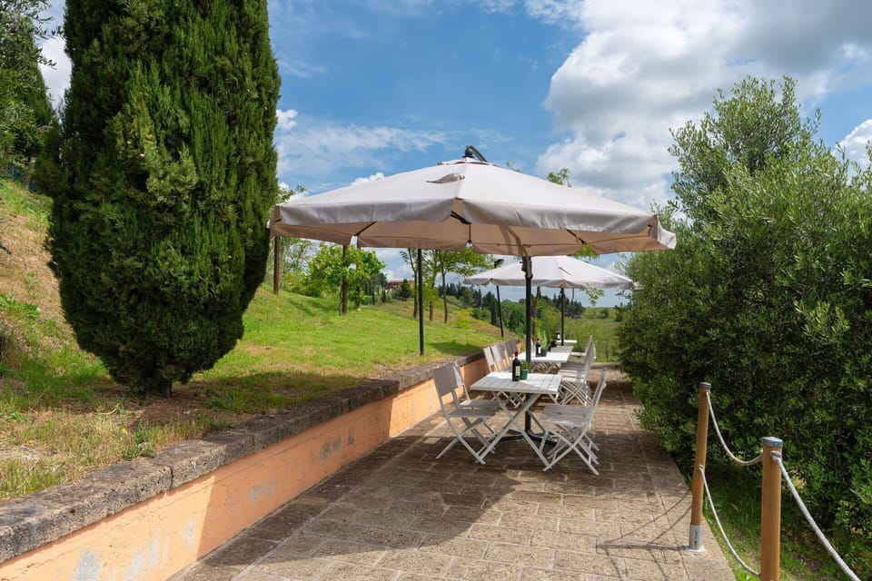 Garden, Outdoor