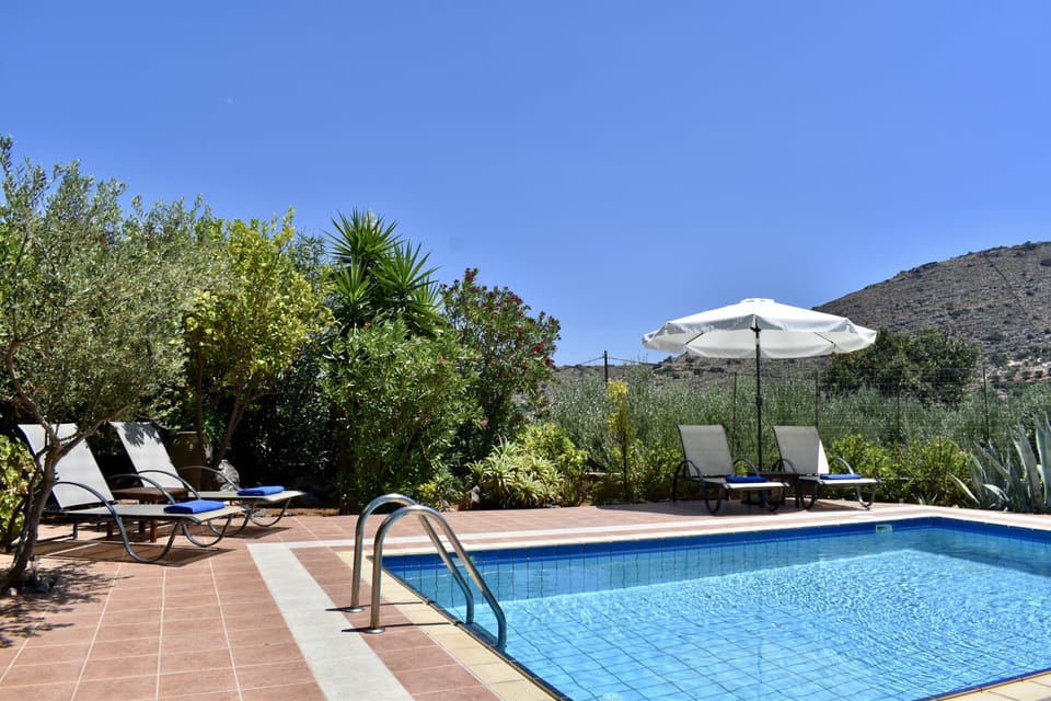 Pool and garden
