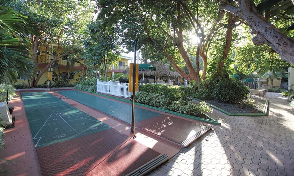 Shuffle board