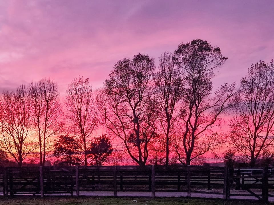 Sunset | The Old Forge, Baswick, near Driffield