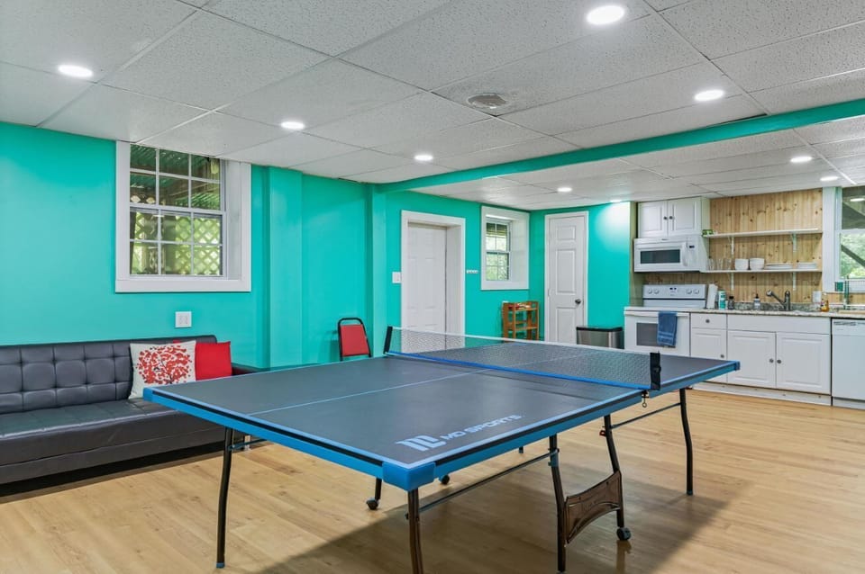 Living room 2 with ping pong table