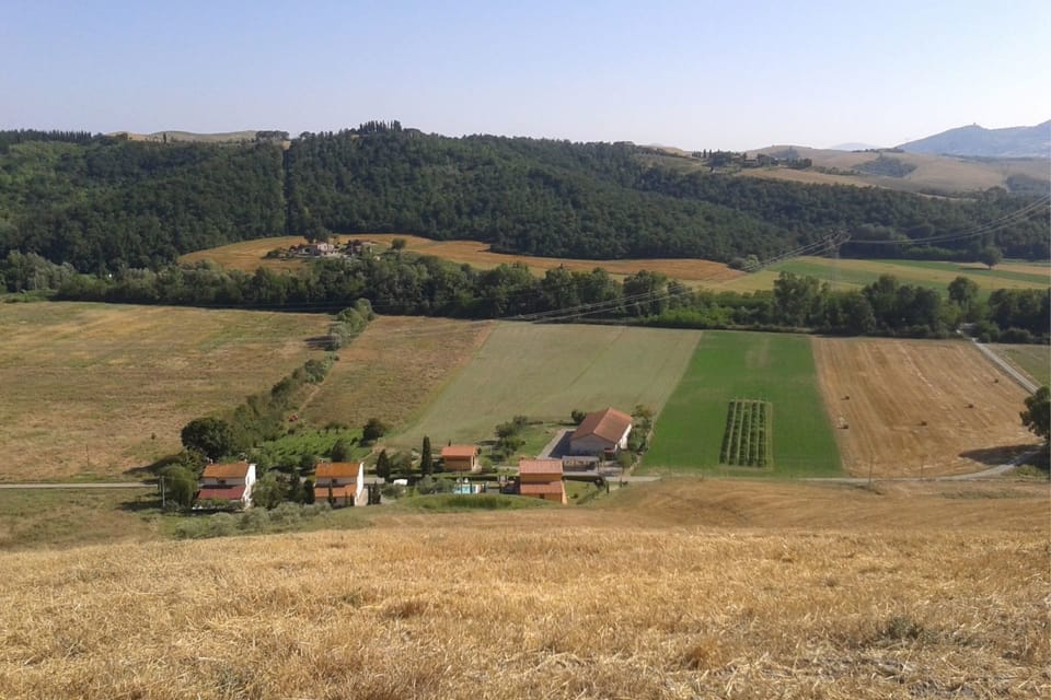 Plant, Sky, Natural Landscape, Tree, Land Lot, Highland, Grass, Agriculture, Grassland, Slope