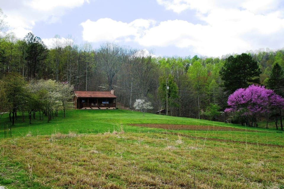 outside  view of cabin in spring view
