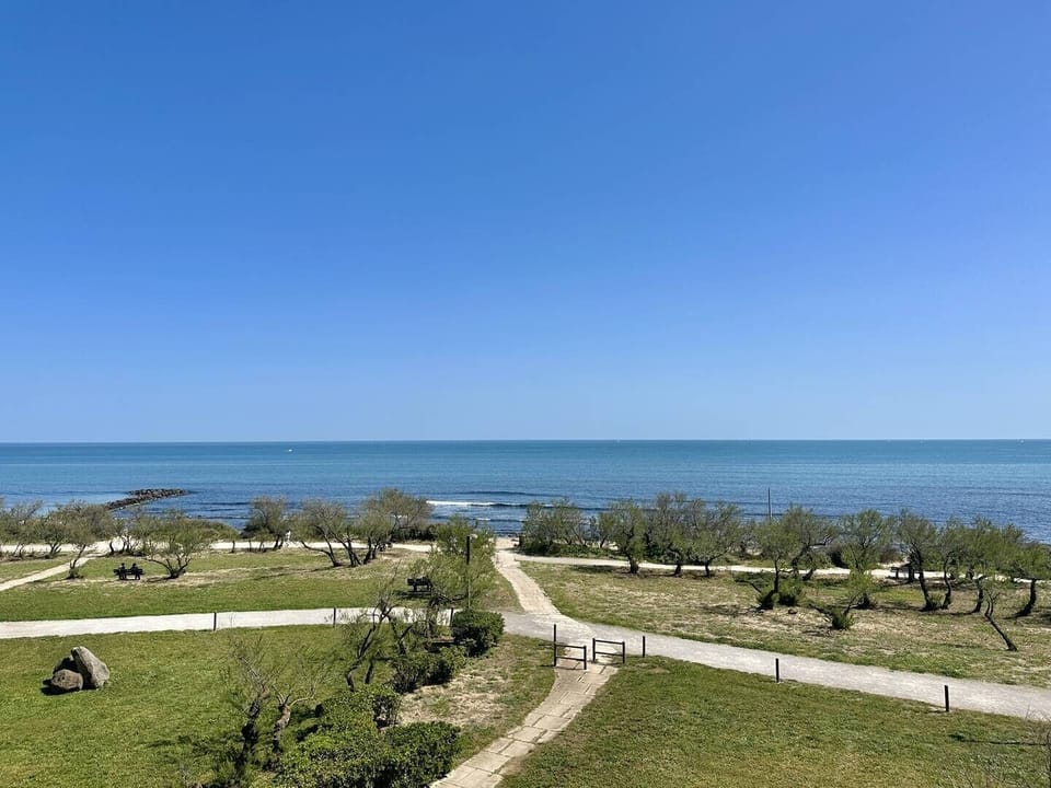 Beach/ocean view