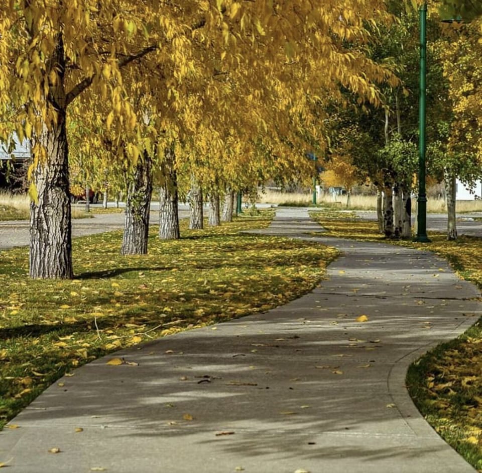 Beautiful walking paths throughout the neighborhood 