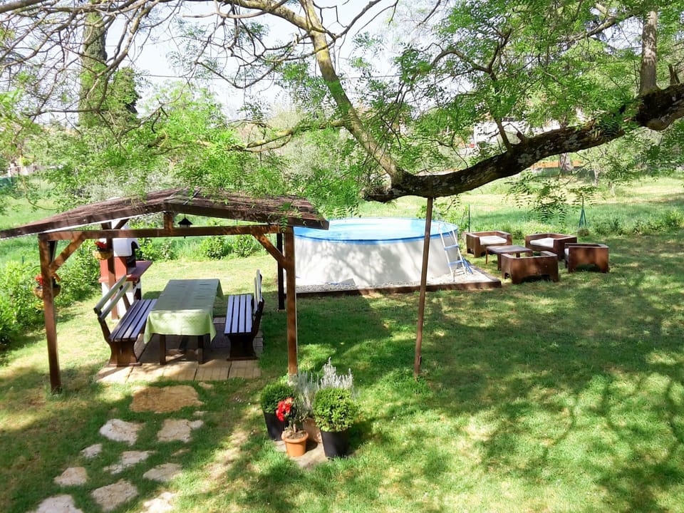 Property, Backyard, Grass, Tree, Yard, Plant Community, Landscape, Rural Area, Adaptation, Recreation
