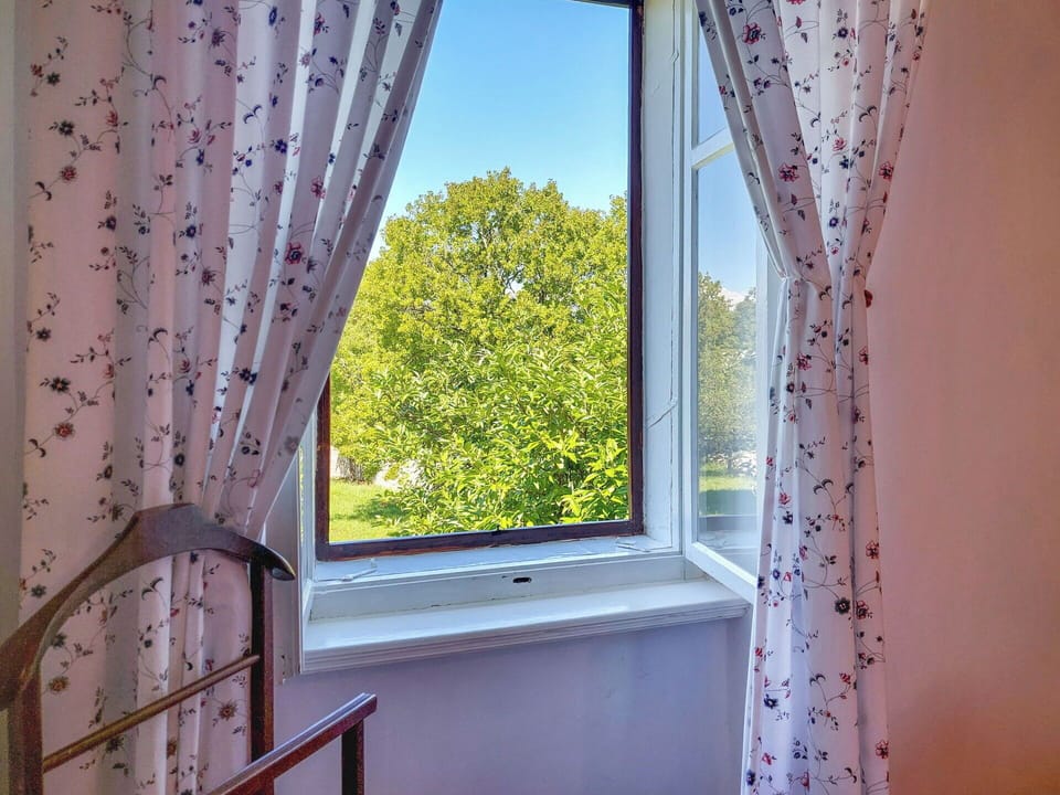 Window Covering, Interior Design, Curtain, Window Treatment, Textile, Pink, Room, Shade, Daylighting, Houseplant