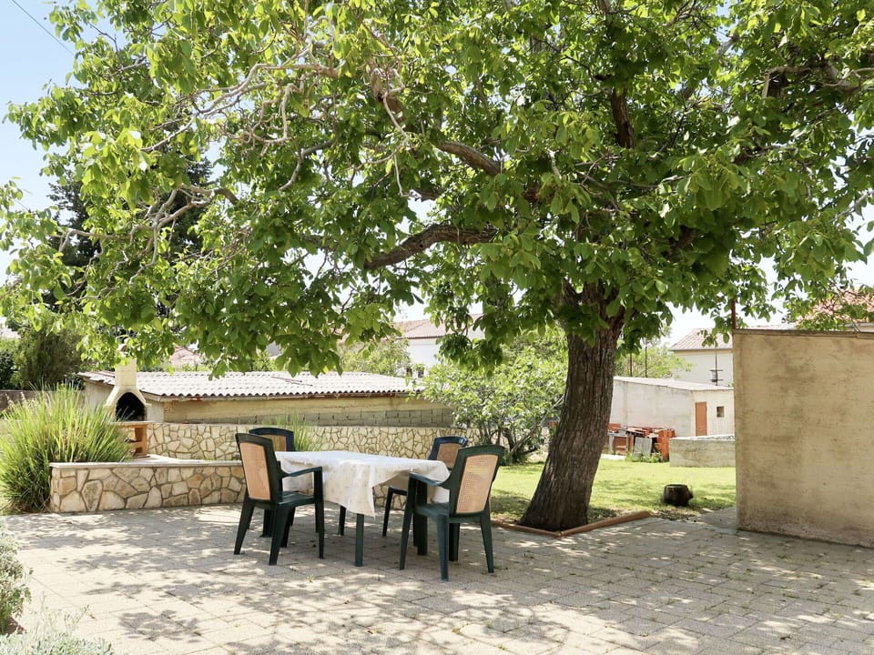 Plant, Table, Building, Shade, Tree, Outdoor Table, Outdoor Furniture, Grass, Chair, Tints And Shades