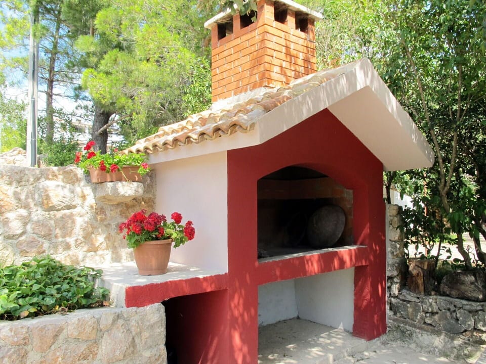 Plant, Flower, Botany, Tree, Flowerpot, Building, Cottage, Shade, Roof, Houseplant