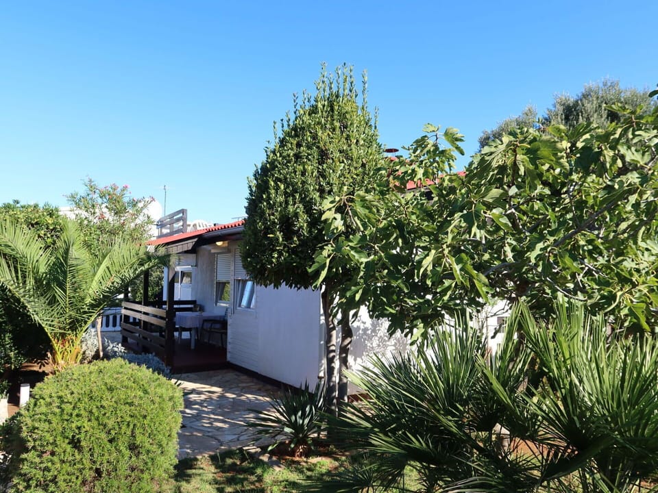 Plant, Sky, Plant Community, Building, Tree, House, Arecales, Grass, Landscape, Terrestrial Plant