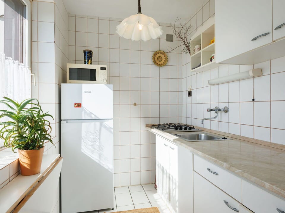 Kitchen Appliance, Kitchen, Major Appliance, Flooring, Interior Design, Wood, Countertop, Floor, Cabinetry, Ceiling