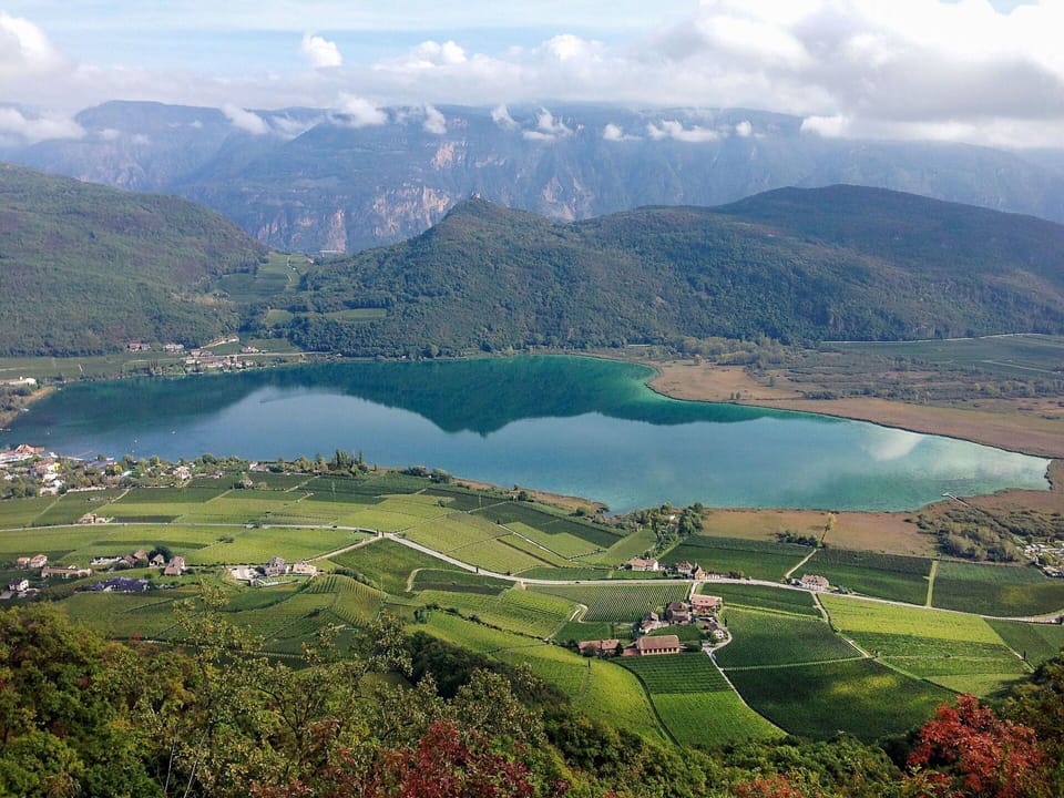 Wood, Lighting, Interior Design, Flooring, Floor, Living Room, Real Estate, Hardwood, Table, Beam