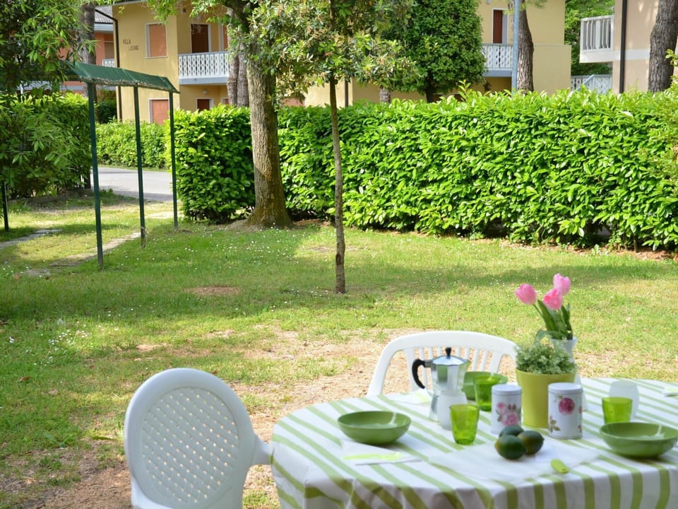 Plant, Table, Tableware, Window, Furniture, Green, Nature, Tree, Building, Chair