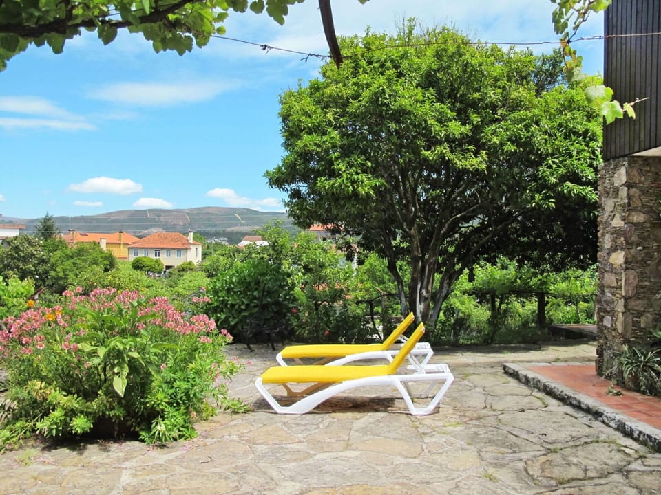 Property, Yellow, Tree, Real Estate, Shrub, Plant, Garden, House, Grass, Landscape