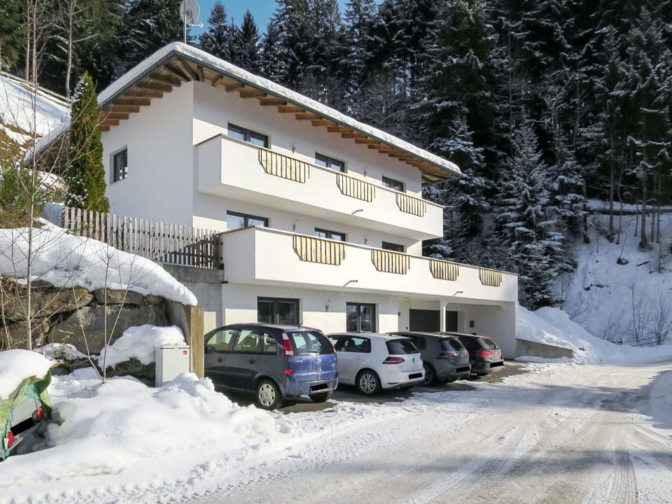 Building, Car, Snow, Window, Vehicle, Motor Vehicle, Wheel, Tree