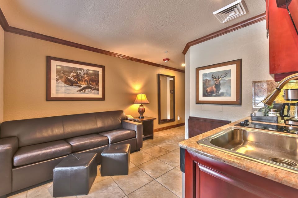 Large sleep sofa in living area