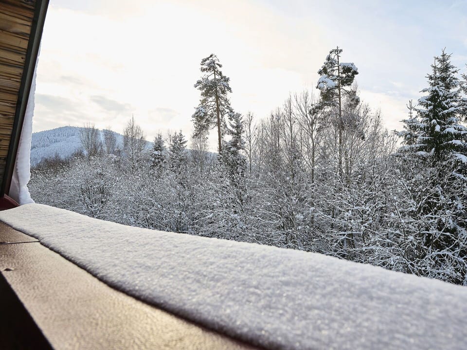 Cloud, Sky, Snow, Slope, Branch, Tree, Plant, Wood, Natural Landscape, Freezing