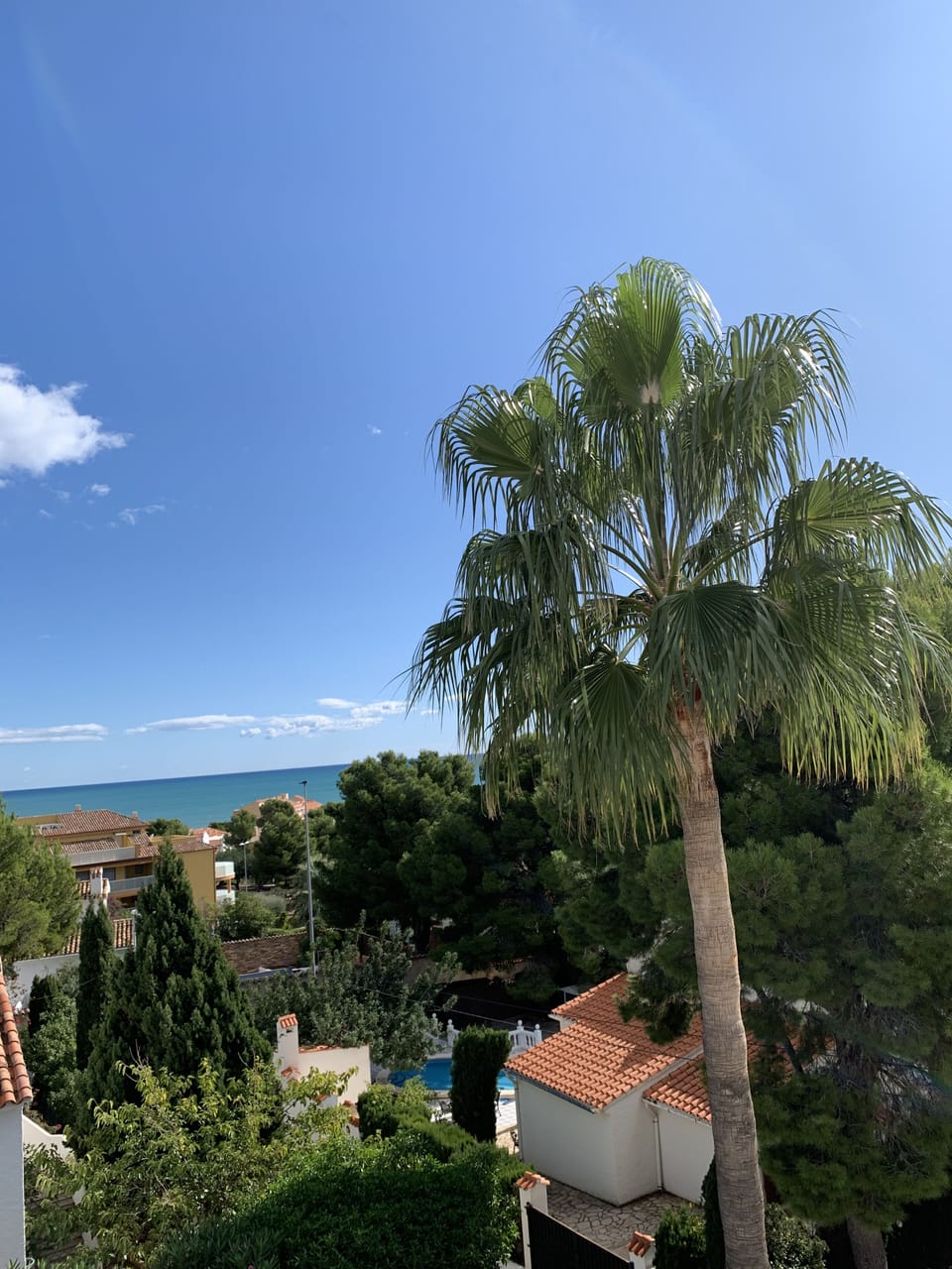 View from upper terrace