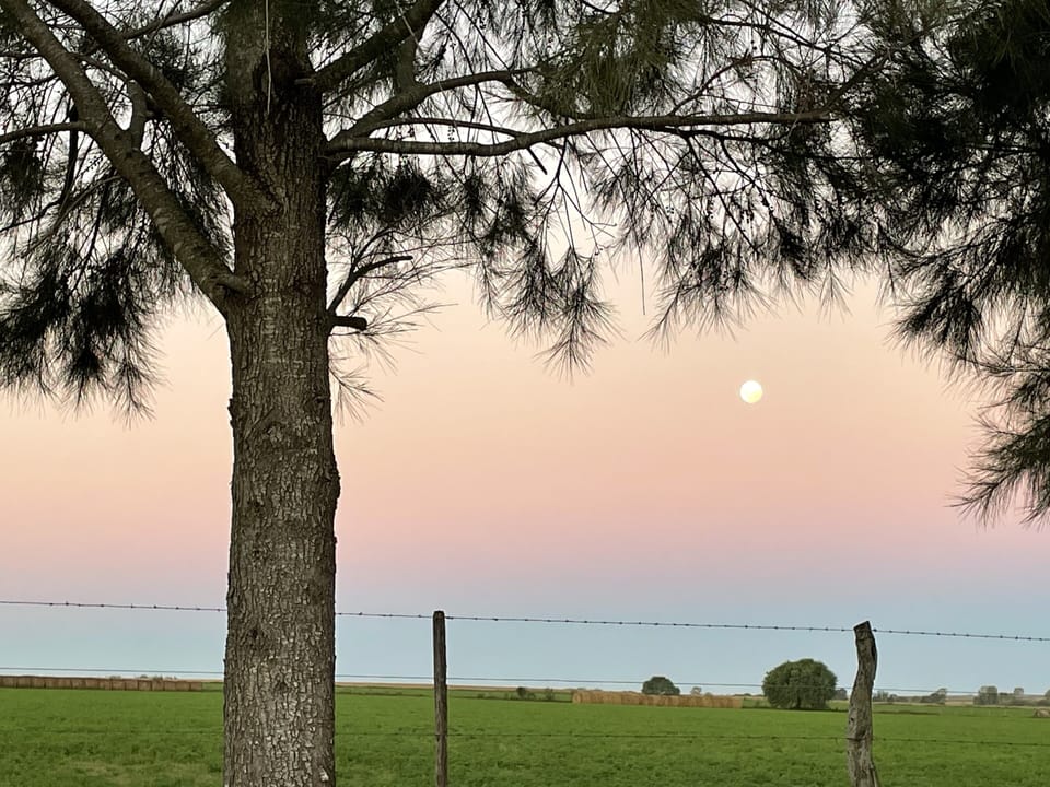 Country views