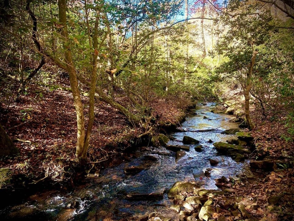 The property features nearly 2,000 feet of Straight Creek frontage. 