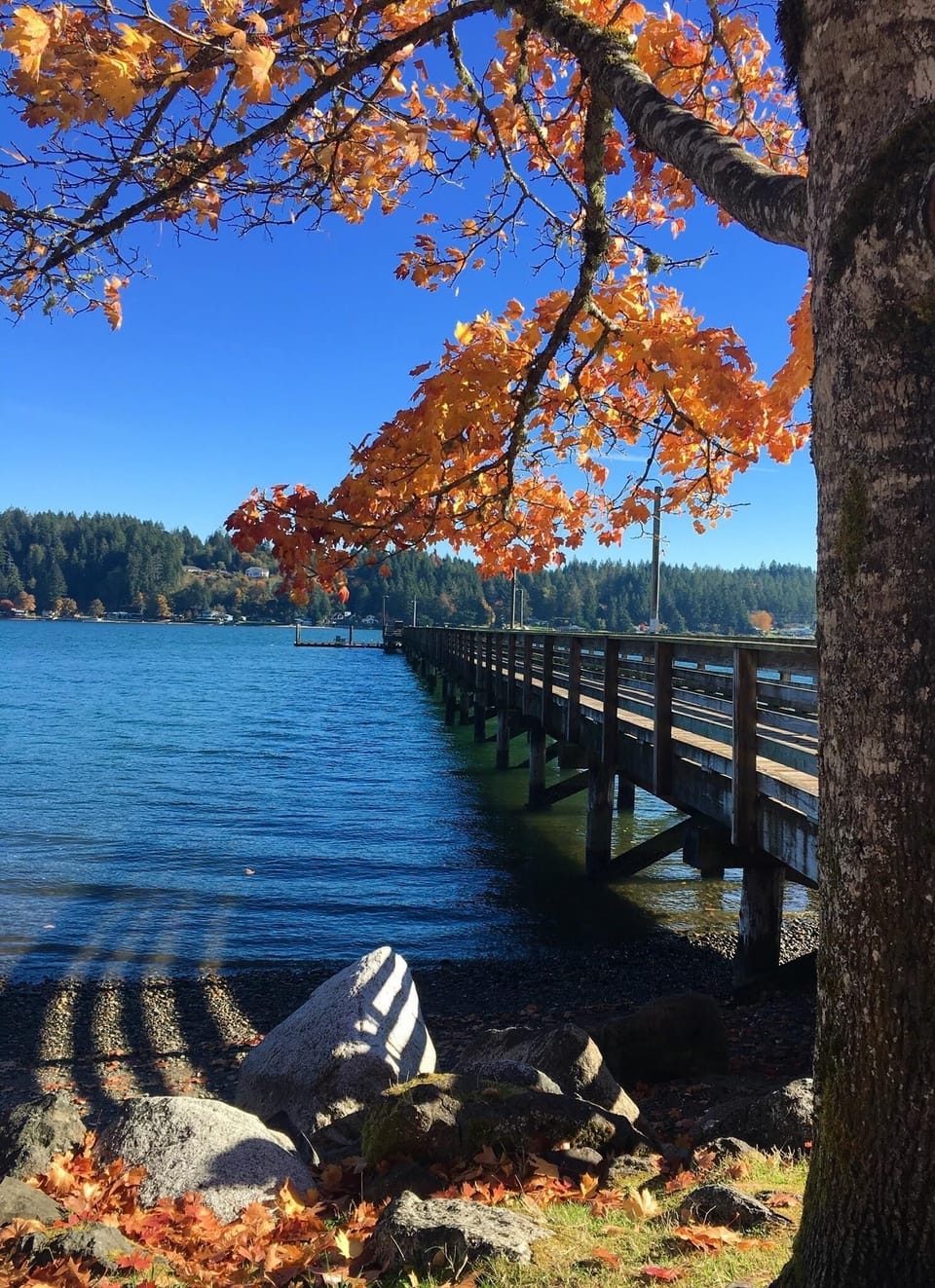 Directly across the Case Inlet from the Allyn Waterfront Park