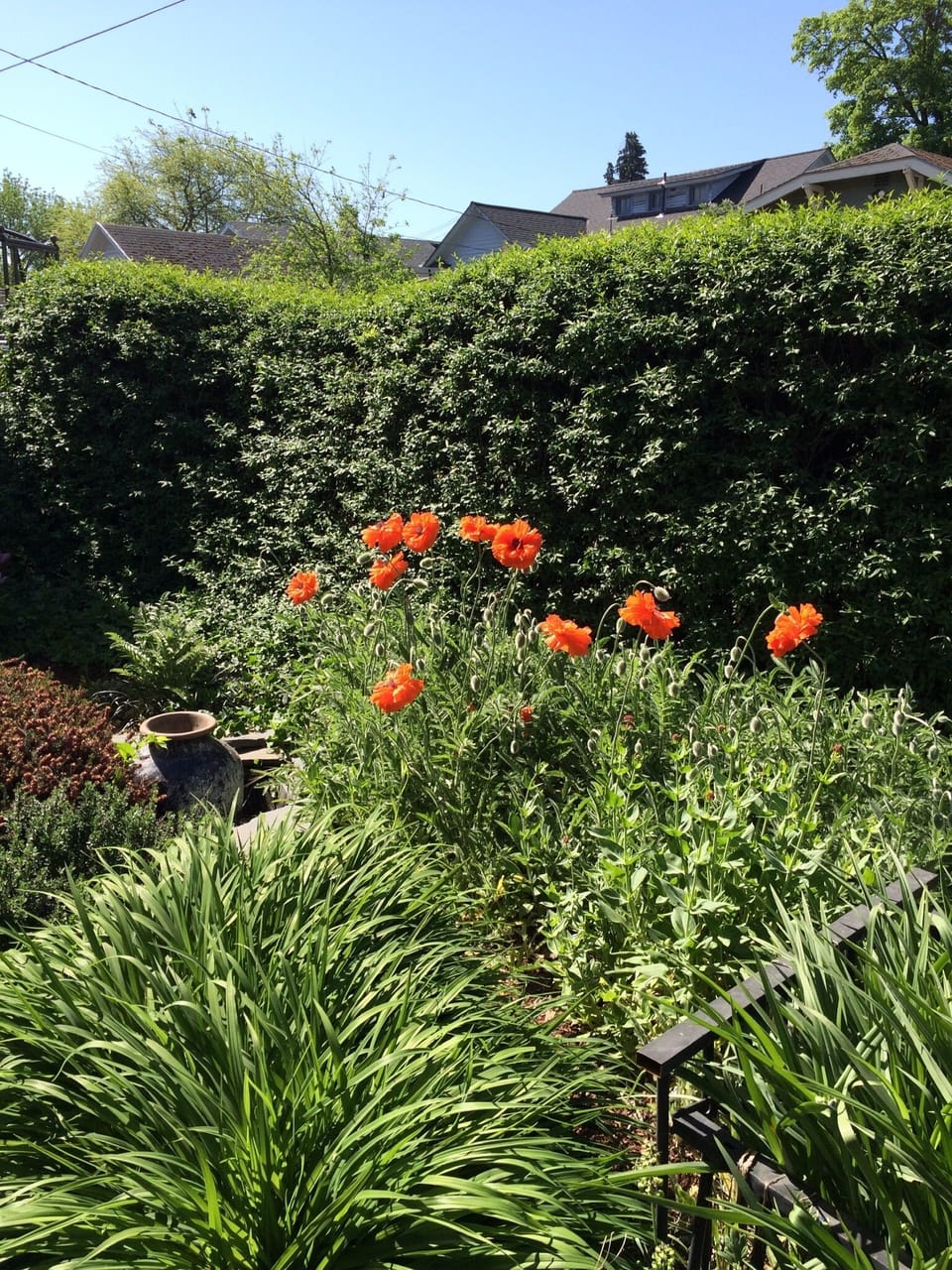 Beautifully maintained 