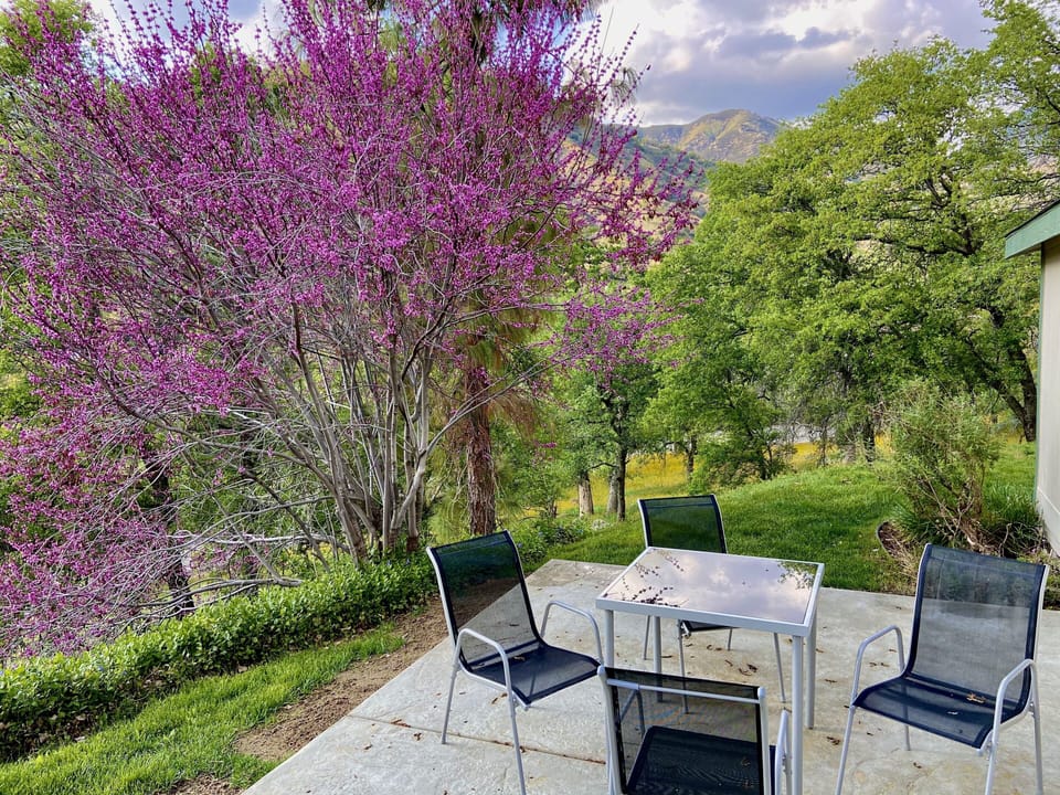 Spectacular views from front porch. 