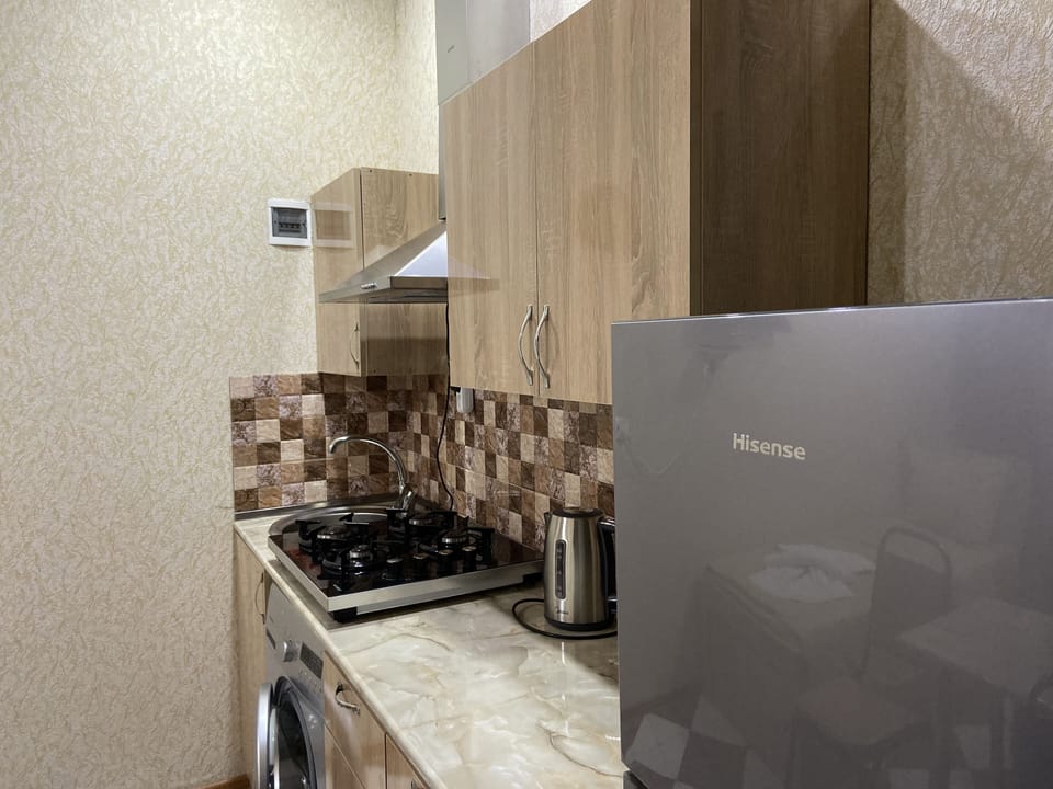 Kitchen in apartment N5