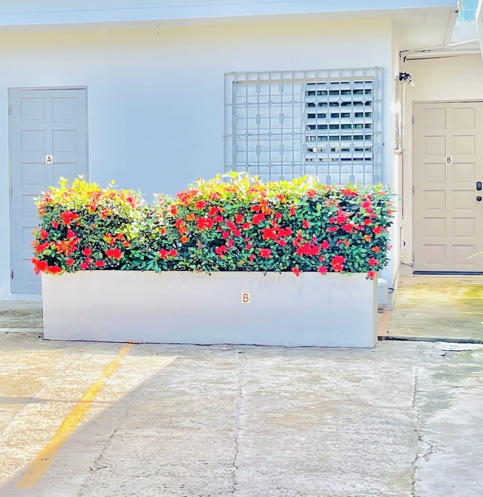 Parking Space just a few steps to the Apartment Door