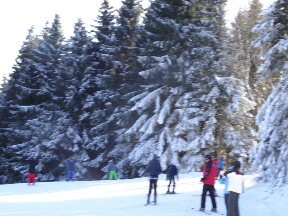 Snow and ski sports